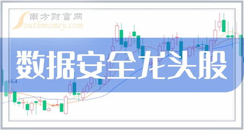 數(shù)據(jù)安全四大龍頭股 網(wǎng)絡(luò)與信息安全軟件開(kāi)發(fā)企業(yè)盤(pán)點(diǎn)